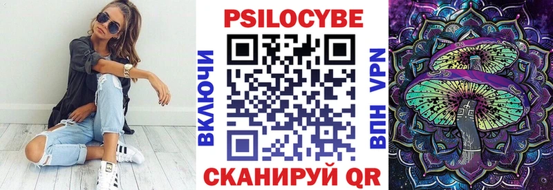 дарнет шоп  Семилуки  Псилоцибиновые грибы мицелий 