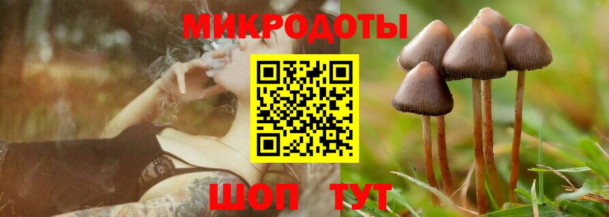Псилоцибиновые грибы Psilocybe  Галлюциногенные грибы мухоморы  Вход с VPN  Семилуки 